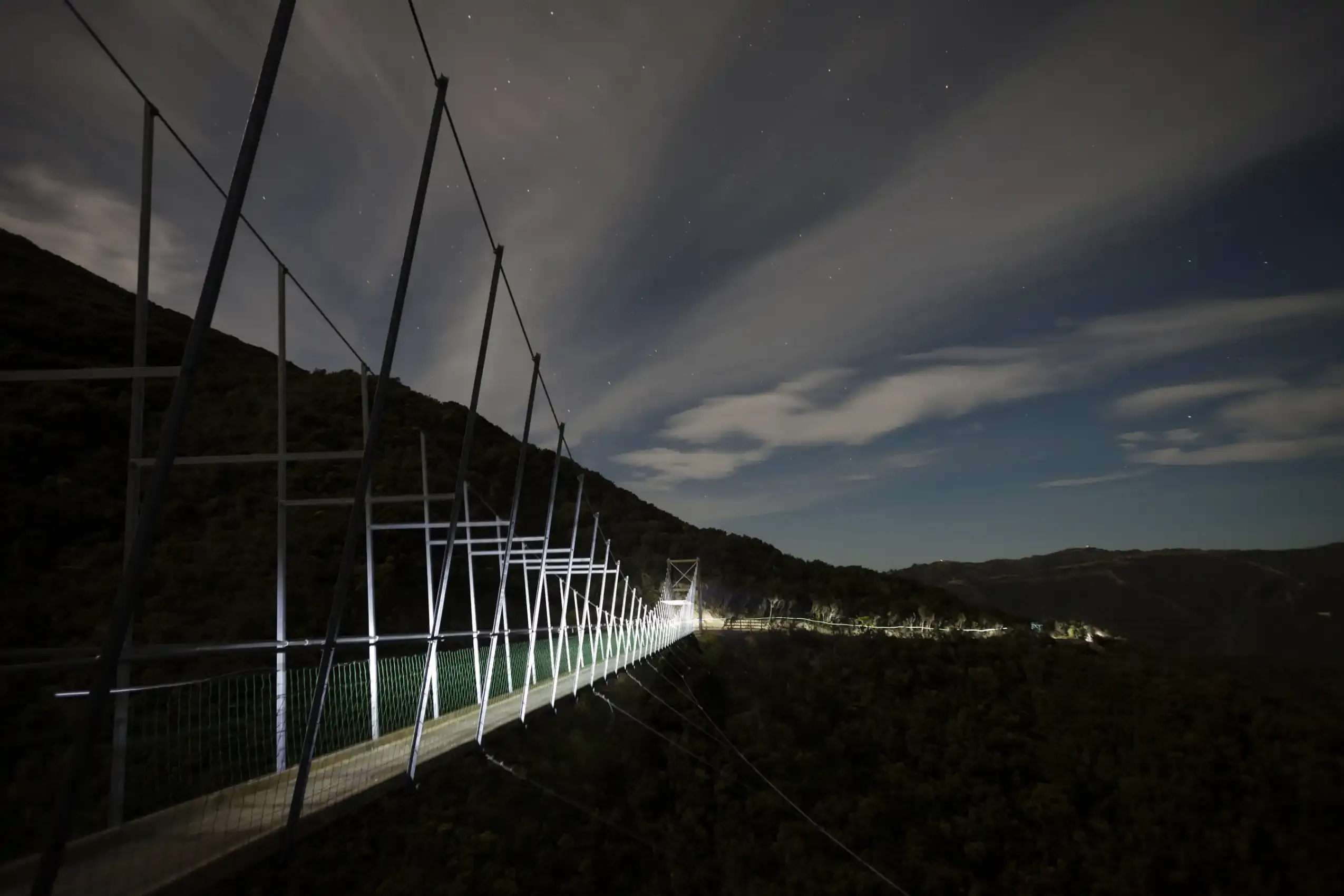 A lit suspension swing-bridge curves away across a bush gully under a star-streaked night sky.